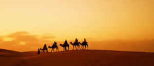Camel Trekking in The Desert