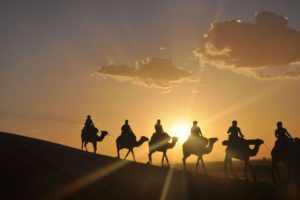 Camel trekking Desert Excursions