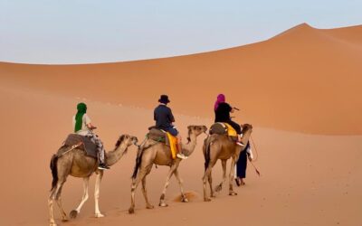 The Ultimate Guide to the Sahara Desert: Merzouga and Erg Chigaga