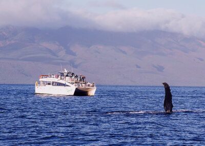 Morocco itinerary 8 days