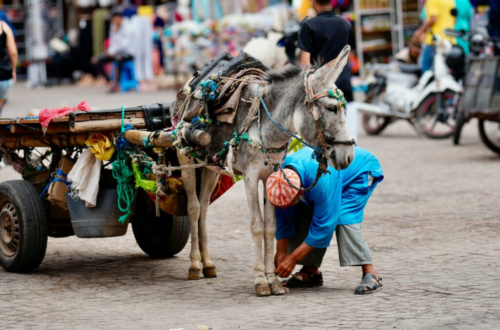 morocco itinerary 6 days